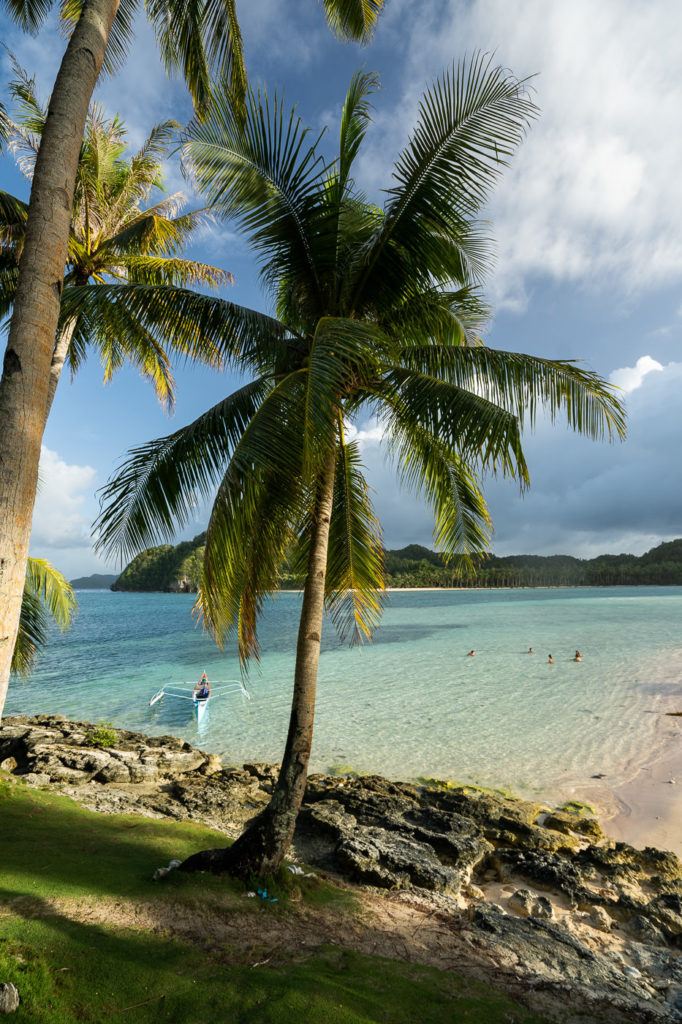 ein Strand mit Palmen und Menschen im Wasser.