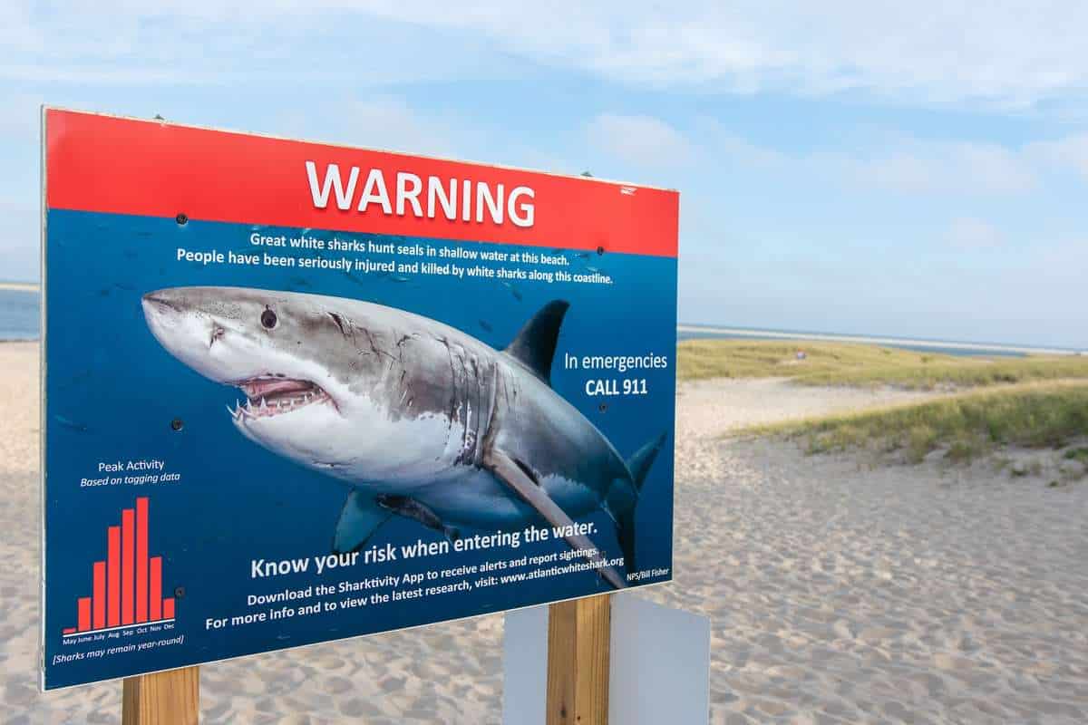 Panneau attention aux requins dans le Massachusetts