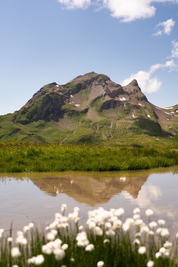 Ein Berg spiegelt sich in einem Wasserteich.