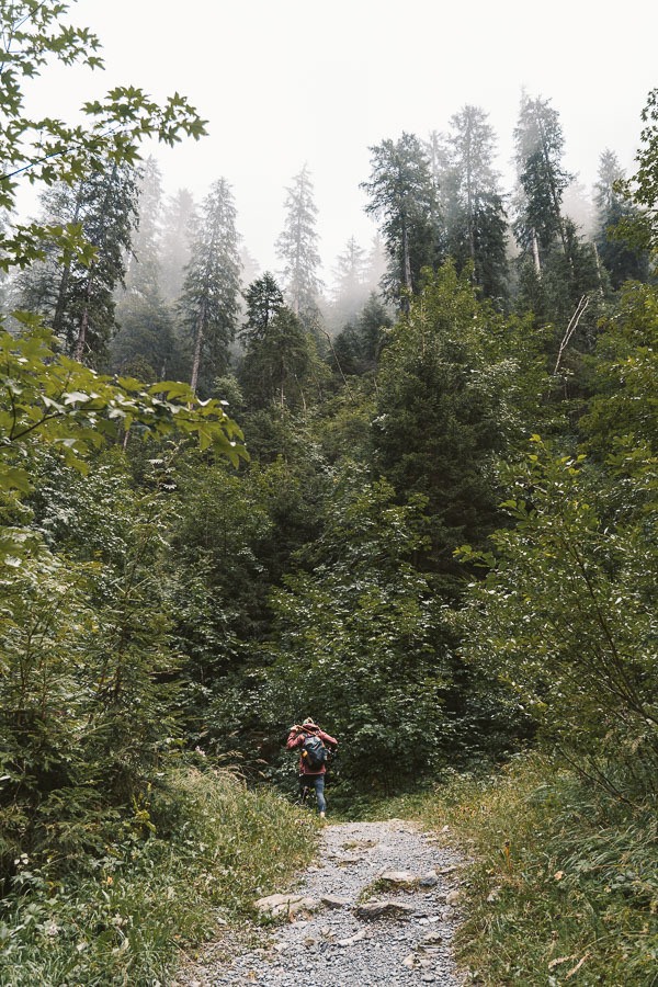eine Person, die auf einem Pfad durch einen Wald geht.