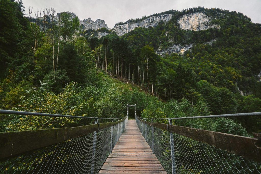 eine Hängebrücke mitten im Wald.