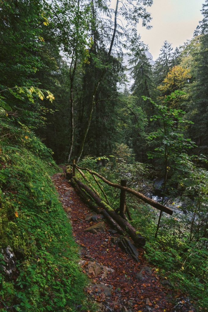 Eine Holzbrücke über einen Bach in einem Wald.