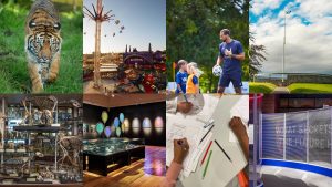 Aktivitäten mit Kindern in den Sommerferien