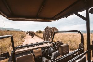 Reisende lieben Collettes kulturell intensive Touren nach Afrika