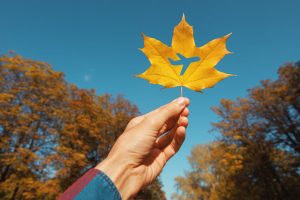 Amerikaner priorisieren Reisen im Herbst, da die Reiselust bis in den Herbst hinein anhält