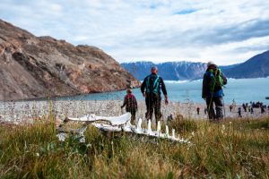 Erkundung Grönlands mit einer Kleinschiffexpedition
