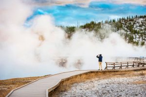 Touristen drängen Grizzlybären im Yellowstone-Nationalpark