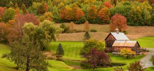 Respektlose Influencer und Touristen zwangen Pomfret, Vermont, die beliebte Fall Foliage Road zu schließen