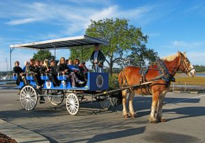 Collette bietet Reiseberatern eine Provision von 1.000 US-Dollar für Gruppenbuchungen