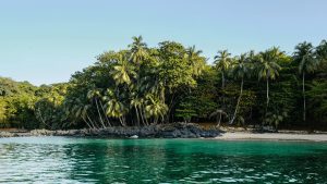 Navigating Príncipe: Von der Gemeinde betriebener Naturschutz inmitten der Baumkronen vor der Küste Afrikas