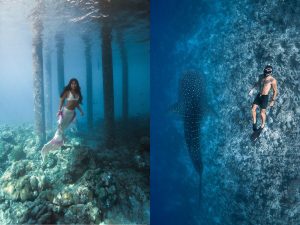 An Underwater Adventure in the Maldives with Sun Siyam Resorts