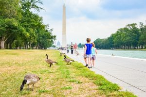 Die Reiseziele, die vor dem Memorial-Day-Wochenende im Trend liegen