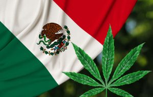 Ist Freizeitmarihuana in Mexiko legal?  Was Reisende über die Unkrautgesetze Mexikos wissen müssen