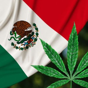 Ist Freizeitmarihuana in Mexiko legal?  Was Reisende über die Unkrautgesetze Mexikos wissen müssen