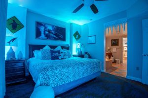 Diese immersive Antarktis-Suite in Florida hilft Ihnen, diesen Sommer cool zu bleiben