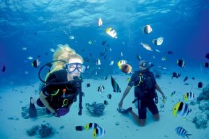Tauchen und Schnorcheln im Paradies mit Paul Gauguin Cruises