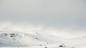 Ich habe eine Polarwanderung in einer der letzten großen Wildnisgebiete der Welt unternommen – hier ist, was ich gelernt habe