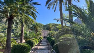 6 Dinge, die Sie auf Spaniens magischer Insel Mallorca nicht verpassen sollten