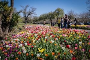 Von Festivals bis zum Essen: Umarmen Sie den Frühling in New Orleans