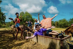 Rocke deinen Sommerurlaub mit einer fünften Nacht kostenlos