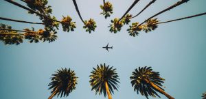 Ein Blick auf den aktuellen Stand der US -Flugreisen in den Sommer zu