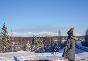 Studie enthüllt, wie Amerikaner in dieser Weihnachtszeit reisen möchten