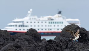 HX Expeditions stellt Galapagos-Routen 2027–28 vor