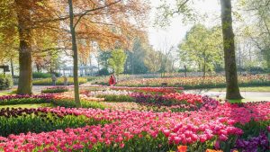 Condé Nast Traveller