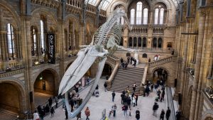 Condé Nast Traveller