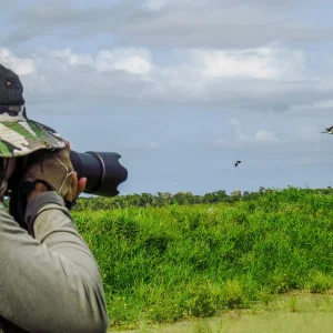Beste Reiseziele zur Vogelbeobachtung in Südamerika