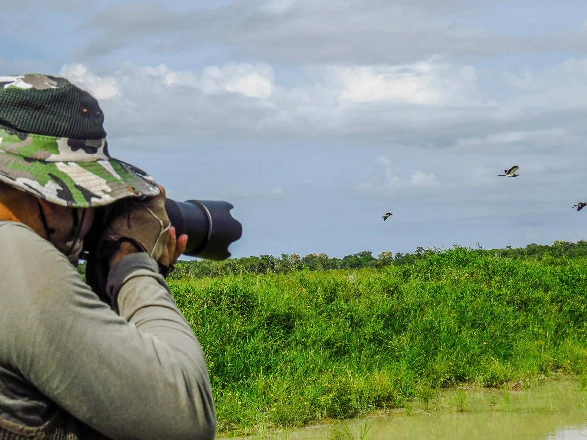 Best destinations for birdwatching in South America