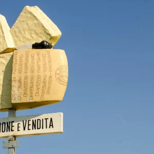 Nächstes Ziel: Parmigiano Reggiano | Reisender