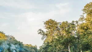 Inside Wilderness Festival, das vornehmste Festival Großbritanniens mit Champagnerbars, Starköchen und Luxus-Tipis