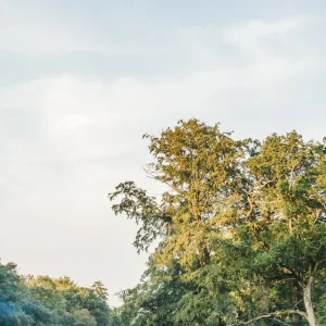 Inside Wilderness Festival, das vornehmste Festival Großbritanniens mit Champagnerbars, Starköchen und Luxus-Tipis