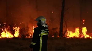 Waldbrände in Frankreich: Das Neueste, da Brände in der Nähe von Bordeaux zu Massenevakuierungen führen und Macron die Krisensitzung leitet