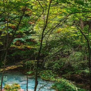 Die besten natürlichen Pools in Nordspanien