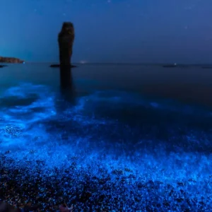 Brennendes Meer: das Biolumineszenzphänomen, das die Küsten Galiziens erleuchtet