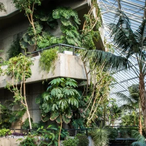 Londoner können jetzt vor seiner dreijährigen Schließung ein Stück des Barbican Conservatory mit nach Hause nehmen – so geht’s