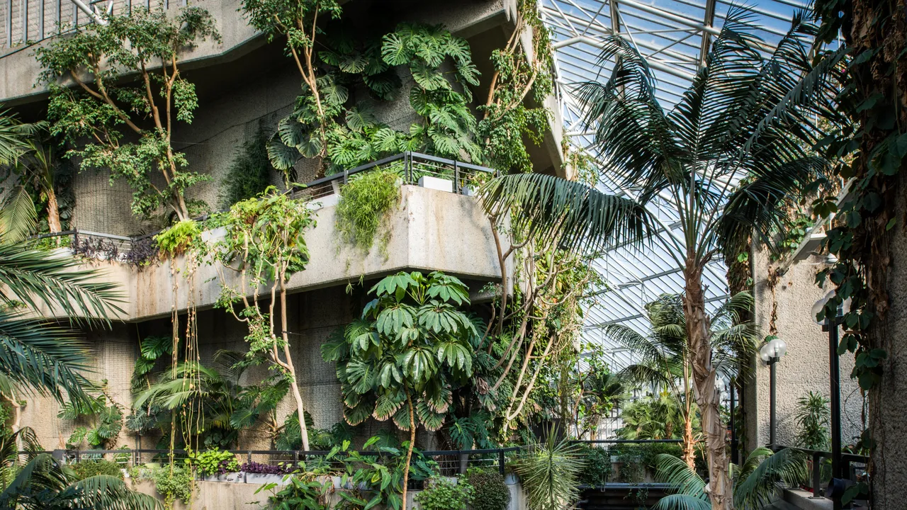 Londoner können jetzt vor seiner dreijährigen Schließung ein Stück des Barbican Conservatory mit nach Hause nehmen – so geht's
