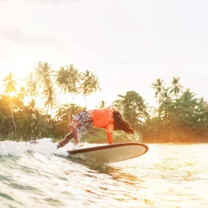 Ist die Welt dank Surfen ein besserer Ort?