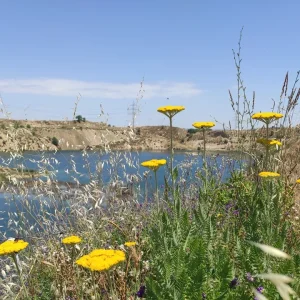 Lagunas de Ambroz, das ums Überleben kämpfende Feuchtgebiet im Osten Madrids