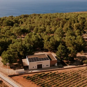 Formentera-Wein? Ja, danke
