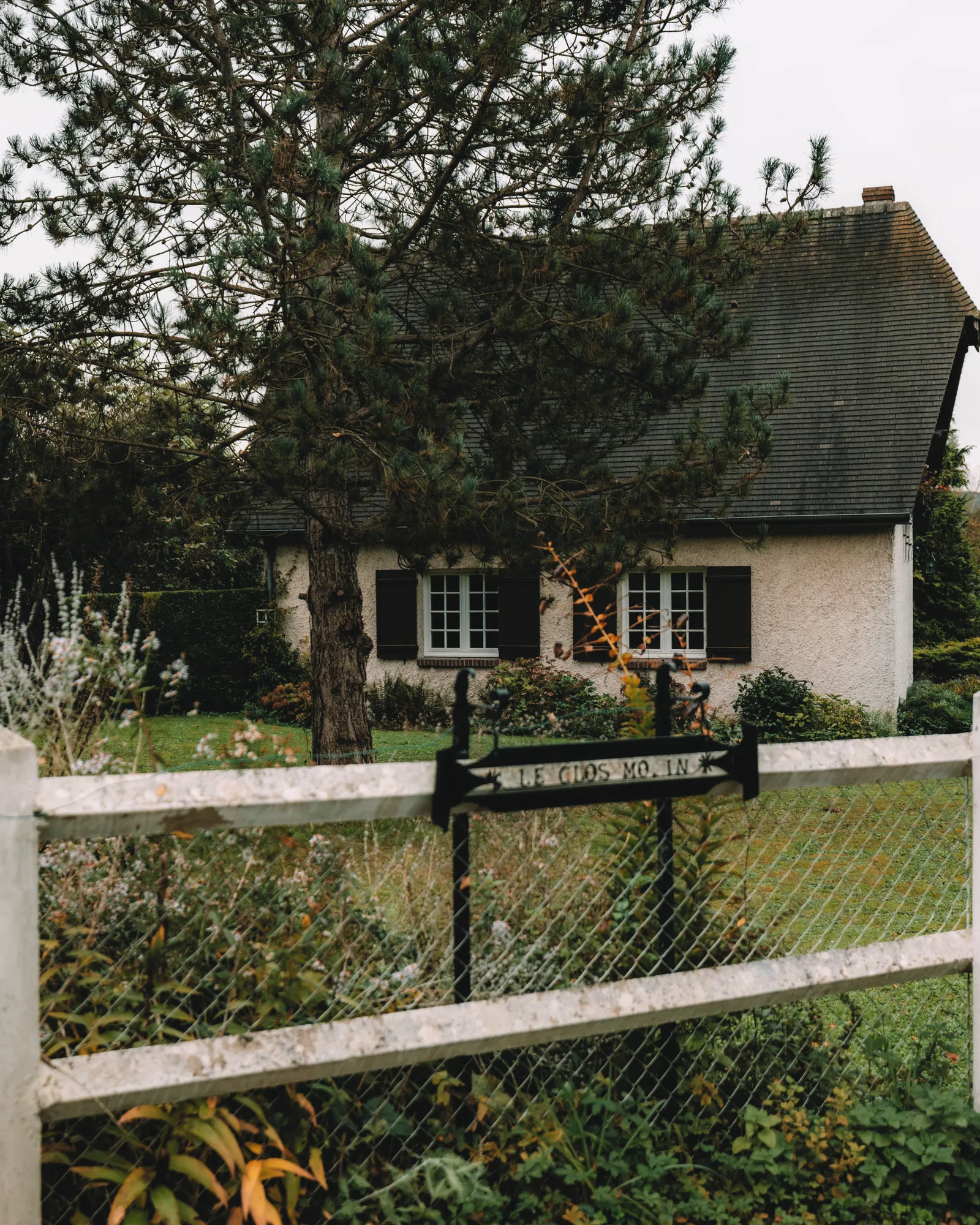 Der Herbst von Anastasia Ferreiro