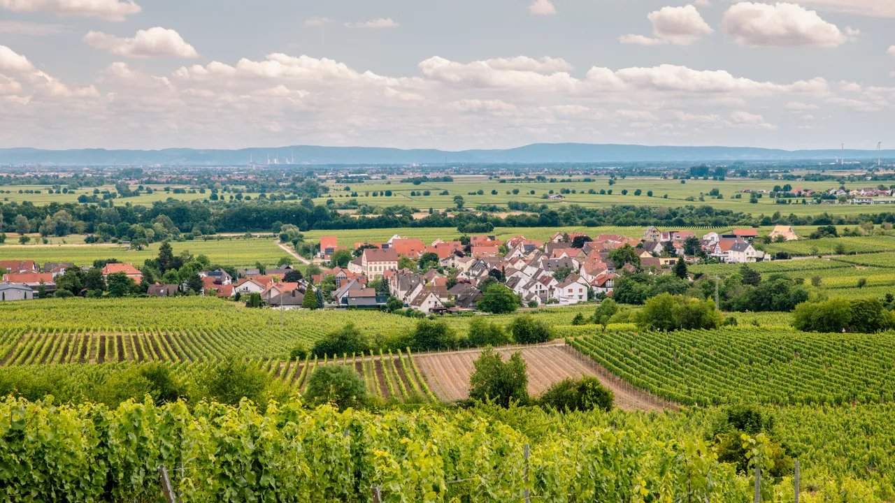 In meinem kleinen Dorf befindet sich gerade Deutschlands neuestes Drei-Michelin-Sterne-Restaurant (und es steht kurz davor, auf Ihrer Wunschliste zu landen).