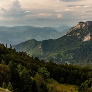 Das ungezähmte Europa: Urwälder, die wie von einem anderen Planeten scheinen