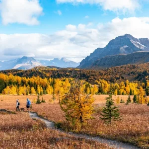 Kanada, der schönste Herbst