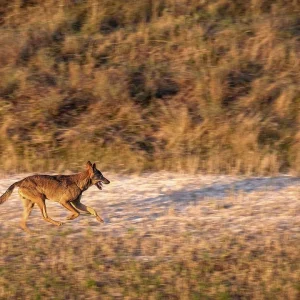 Das Another Way Film Festival feiert seine 12. Ausgabe: Ohne Eile die Natur betrachten