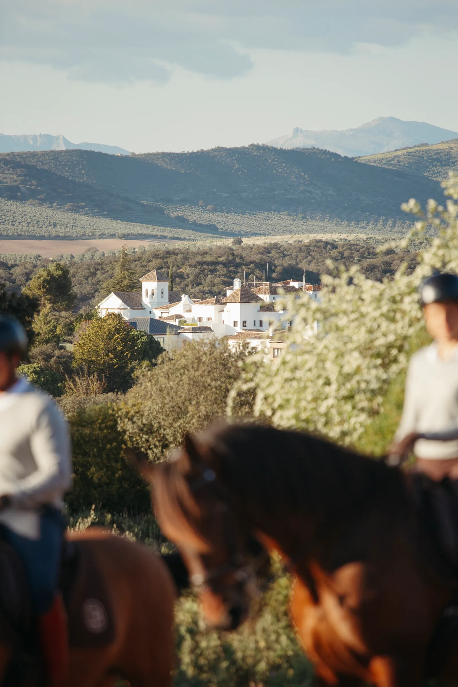Finca La Bobadilla im Herzen Andalusiens